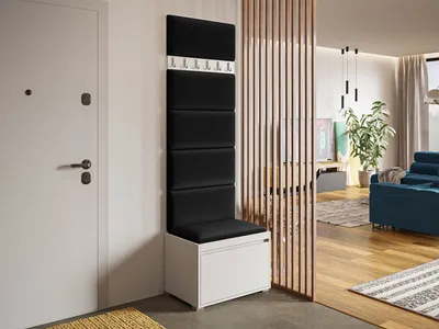 Obrázok produktu pre Predsieňová stena s nástennými čalúnenými panelmi CLENZE 5 - biela / čierna