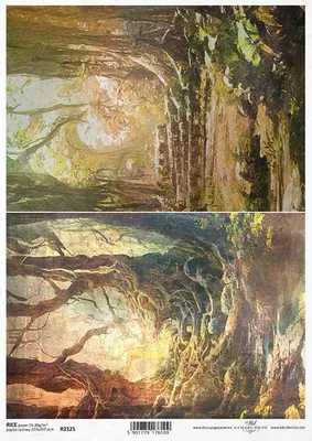 Immagine prodotto di ITD carta di riso decoupage carta artigianale tecnica tovagliolo di carta morbida, foresta misteriosa, alberi R2125