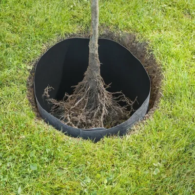 Produktbild von Windhager Wurzelsperre aus HDPE-beschichtetem Vlies, 3,5 x 0,6 m, 275 g/m²