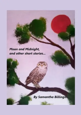 Produktbild von Moon and Midnight