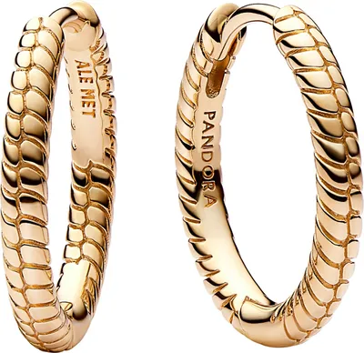 A pair of gold hoop earrings with a textured, scale-like pattern.