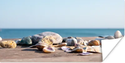 Produktbild von MuchoWow® Poster Muscheln - Strand - Meer - Sommer - Sonne 40x20 cm - Poster für die Wand - Poster Schlafzimmer