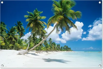 Produktbild von MuchoWow® 90x60 cm Outdoor-Poster Gartendeko Sichtschutz Garten Poster für den Garten  Strand - Palme - Tropisch