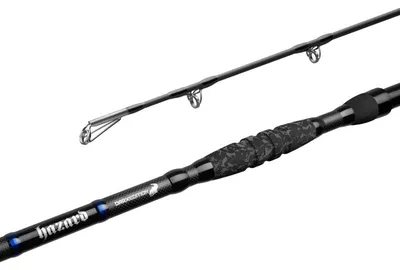 Immagine prodotto di DELPHIN HAZARD Darx, 2,55 m, 8,37 ft, 0-500 g, 2 sezioni, canna da pesca per siluri, 101006705