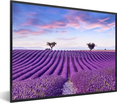 Produktbild von MuchoWow® Gerahmtes Poster Lavendel - Natur - Lila - Bäume - Blumen 40x30 cm - Poster mit Schwarzem Bilderrahmen Wandposter Rahmen Foto Bilder - Kunstposter - Wanddekorationen