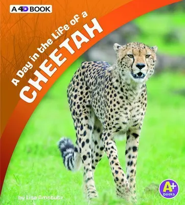 Produktbild von A Day in the Life of a Cheetah