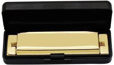 Productafbeelding van Professionele diatonische mini-mondharmonica - 10 tonen - metaal - geschikt voor beginners - compact - helder geluid