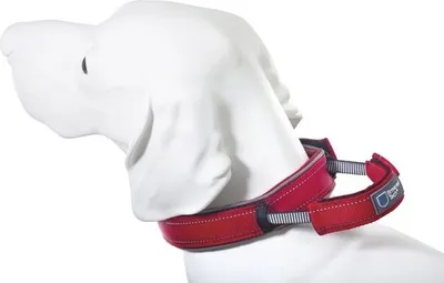 Produktbild von Dog Control Halsband L rot