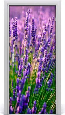 Produktbild von Tulup Türaufkleber 95x205 cm Dekorative Aufkleber Selbstklebend Wasserdichte Tapete Abnehmbar Schlafzimmer Wohnzimmer Wohnkultur - Lavendelfeld