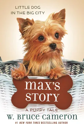 Produktbild von Max's Story