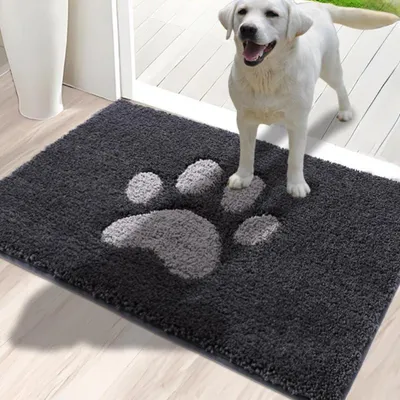 Productafbeelding van Binnenmat, vuilvanger, loopmat, machinewasbaar, waterabsorberend, donkergrijs, 50 x 80 cm