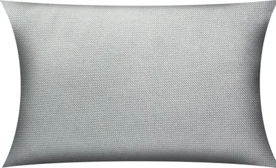 Produktbild von 2-Set SAMT KISSENBEZUG 40x60cm ASCHGRAU Velours Kissenhülle Dekokissenbezug Sofakissen Zierkissen