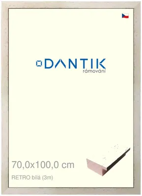 Zdjęcie produktu dla Ramka DANTIK 70x100 | RETRO biała (Plexi Clear)