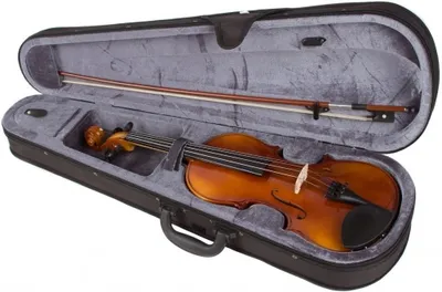 Image de Stagg VN 1/4 Violon acoustique naturel