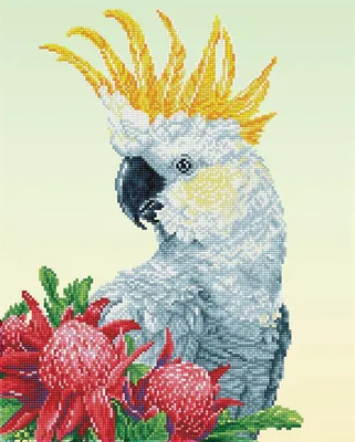 Obrázok produktu pre Diamond Dotz White Cockatoo & Waratahs, Chlapec / dievča, Dospelý, White Cockatoo & Waratahs, Viacfarebný, 13446 kusov, 409 mm