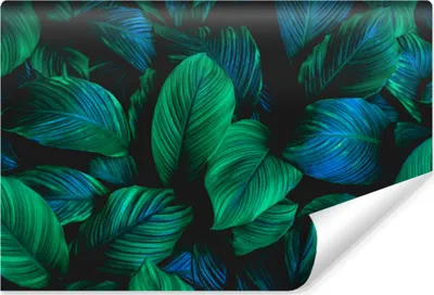 Produktbild von Muralo Selbstklebende Fototapete TROPISCHE BLÄTTER Pflanzen Natur 3D 368 cm x 280 cm