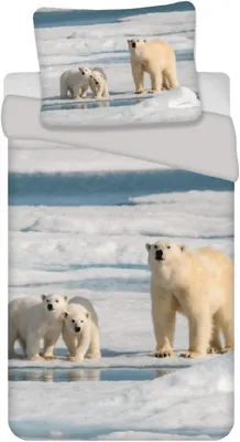 Immagine prodotto di Set di biancheria da letto con orso polare 135 x 200 cm 100% cotone