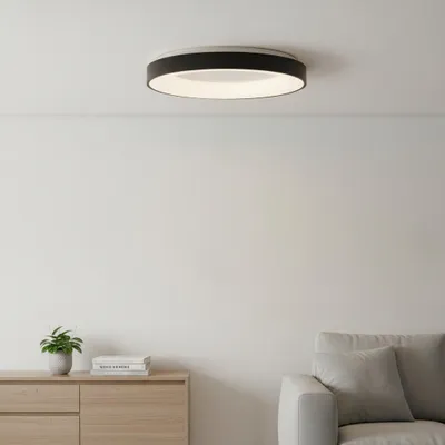 Productafbeelding van Plafondlamp Rando Thin zwart Ø 60cm, AI-gegenereerde afbeelding