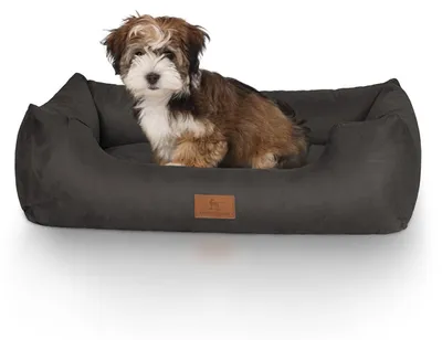 Immagine prodotto di Letto per cani Dreamline M-L - 85 x 63 cm | Nero
