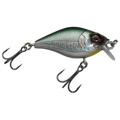 Produktbild von ILLEX Magic Crank 40 SR Bright Bleak Crankbait Wobbler