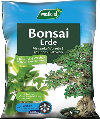 Produktbild von Westland Bonsai-Erde 4 l