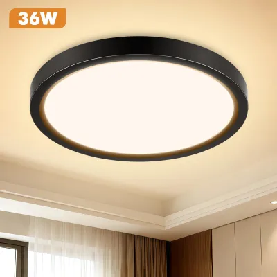 Obrázok produktu pre LED stropné svietidlo – Ultra tenké, minimalistické stropné svietidlo – 36 W – 4000 K – Čierna farba – Materiál: železo a akryl – Bez stmievania
