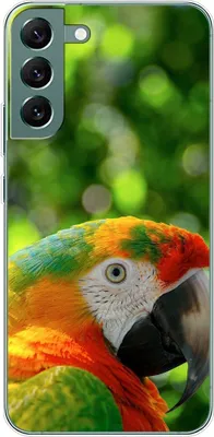 Produktbild von König Design Hülle kompatibel mit Samsung Galaxy S22 Plus 5G Kunststoff Soft Handyhülle - Handy Case Papagei