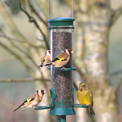 Produktbild von CJ Wildlife Futtersäule für Niger Samen Vögel - Vogelfutterspender - Kunststoff, Grün - hängend oder Stabmontage - nur für Nigersaat