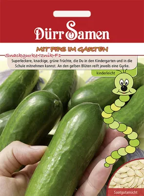 Produktbild von Dürr-Samen - Kindersorte Snackgurken Iznik F1 - Saatgut - 4230