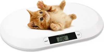 Obrázok produktu pre Jopassy detská váha Detská váha do 20 kg Digitálna detská váha Digitálne váženie Elektronické