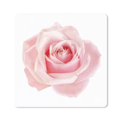 Produktbild von MuchoWow® Mauspad Mousepad Rose - Rosa - Blumen 30x30 cm - Mousepads - Maus Mat - Pad - Mausunterlage - Gaming