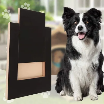 Produktbild von Hundekratzbrett für die Krallenpflege – Multifunktional, komfortabel und leicht – Eine spezielle Krallenfeile für Haustiere