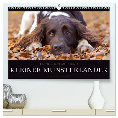 Produktbild von Faszination Jagdhund - Kleiner Münsterländer (hochwertiger Premium Wandkalender 2027 DIN A2 quer), Kunstdruck in Hochglanz