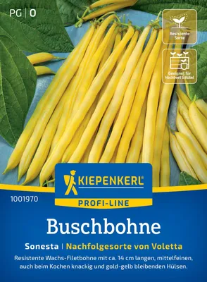 Artikelbild 2 von 'Buschbohne Sonesta' aus der Kategorie Buschbohnensamen