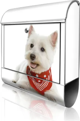 Zdjęcie produktu dla banjado design skrzynka na listy stalowa srebrna z przegrodą na gazety malowana proszkowo "Westie" 38x46x12,5cm & 2 klucze - Skrzynka pocztowa A4 z materiałem montażowym [BK 10192]