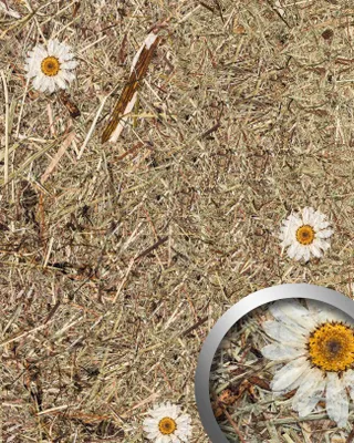 Produktbild von WallFace AL-11004 ALPINE WHITE DAISY selbstklebende Tapete Almwiesen-Einrichtungs 4 m2