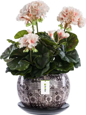 Produktbild von Blumentopf Rund Keramikkugel Ø14 cm H 12,5 cm Braun Mosaik glanz mit Untersetzer Rund Blumenarrangements, einzigartige Musterdekoration,originelle Dekoration, Sukkulenten Geranien Grünpflanzen