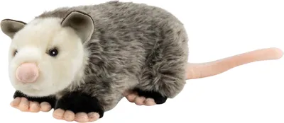 Immagine prodotto di Opossum Carl Dick 28 cm circa, 40 cm con coda, peluche, peluche, peluche 3755