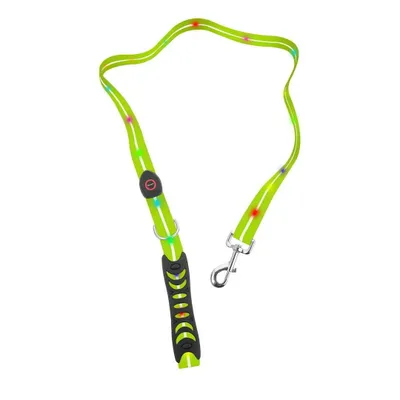 Image de Signal laisse led forme big and medium dogs, green