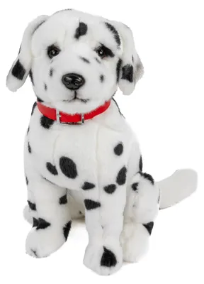 Produktbild von Kuscheltier Dalmatiner mit Halsband sitzend 30 cm Plüschhund