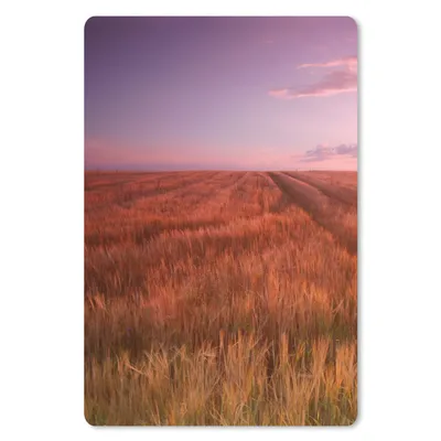 Produktbild von MuchoWow® Mauspad Mousepad Wiese - Sonne - Abend - Landschaft 40x60 cm - Mousepads - Maus Mat - Pad - Mausunterlage - Schreibtisch Accesoire