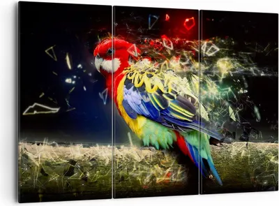 Produktbild von Bild auf Leinwand - Leinwandbild - Papagei Vogel Feder - 165x110cm - Wand Bild - Wanddeko - Leinwanddruck - Bilder - Kunstdruck - Wanddekoration - Leinwand bilder - Wandkunst - CE165x110-3682