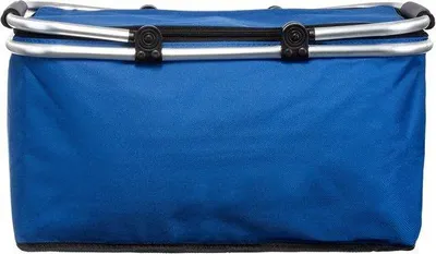 Immagine prodotto di Frigorifero portatile, cestino da picnic 630 g, isolato