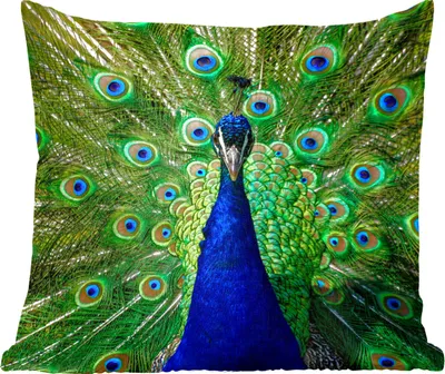 Produktbild von MuchoWow® Zierkissen Sofakissen Wohnzimmer Dekokissen 40x40 cm Pfau - Federn - Augen - Foto Kissen - Schlafzimmer Dekoration
