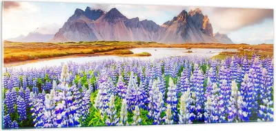Produktbild von Bilder auf glas - Berge Wiese Blumen - 100x40cm - Glasbilder - Wandbilder - Kunstdruck - zum Aufhängen bereit - Wanddekoration aus Glas - Glas Bilder - Wandbild auf Glas - Einteilig - GAB100x40-4114
