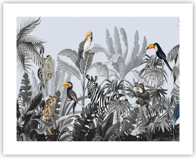 Produktbild von Poster - Poster ohne Rahmen - Dschungel Tiere Tukane - 50x40 cm - Wand Bild - Wanddeko - Wandbilder - Kunstposter - Wandposter - Bilder - Kunstdruck - Wanddekoration - Wandbild - P2XAA50x40-4662