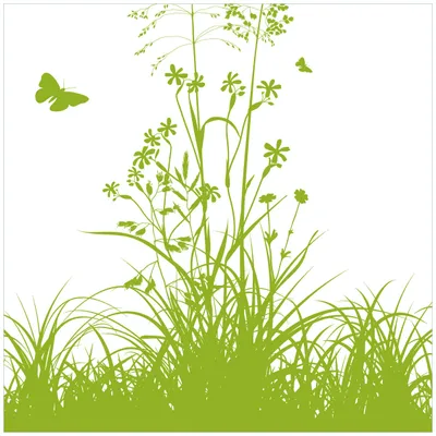 Produktbild von Wallario Premium Glasbild, freischwebende Optik, kräftige Farben, Größe 50 x 50 cm Motiv Grüne Sommerwiese