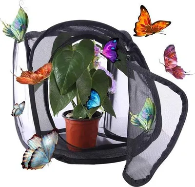 Productafbeelding van Famanu Insecten- en vlinderhabitat kooi - Opvouwbare beschermingsbox, 30 x 30 x 30 cm