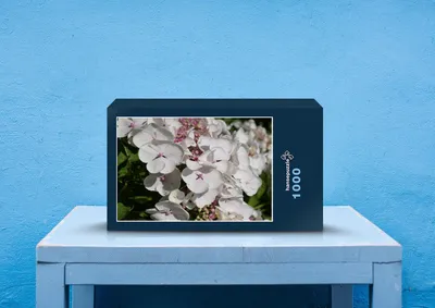 Produktbild von hansepuzzle 22713 - Frühlings-Blüte Puzzle, 1000 Teile, Natur, 60,0 x 46,0cm mit hochwertiger Aufbewahrung, Kartonbox & Beutel