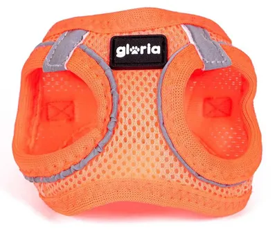 Imagen del producto de Arnés para perro Gloria Trek, color naranja, tallas XS (27-28 cm) y S (31-34,6 cm)